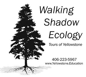 Educational Tours of Yellowstone