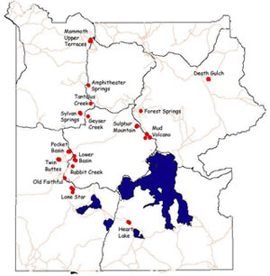 survey of Yellowstone's backcountry plant communities